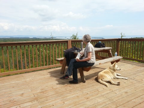 Leslie regards a landscape with dog
