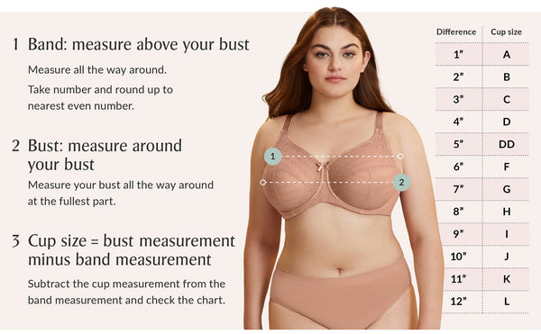 How Big Is a 34D Bra Cup Size?  Bra cup sizes, Dd bra size, Bra cups