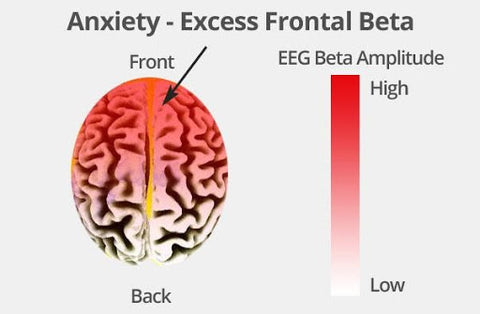 Effects of Testosterone on Cognition and Mental Processes 