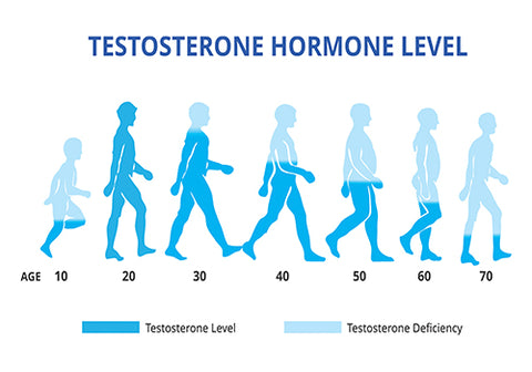 Low Testosterone