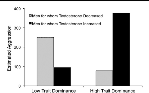 testosterone supplements for men