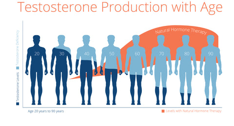 testosterone production by age