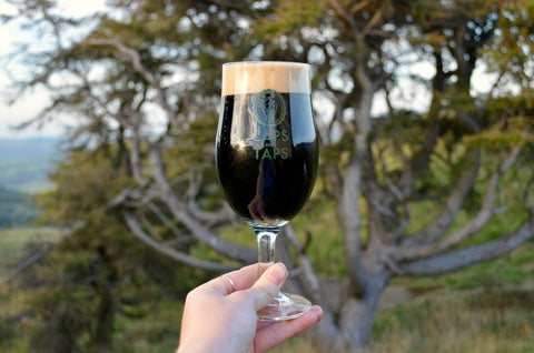 A hand holds the stem of a Caps and Taps glass containing Left Hand Milk Stout Nitro up to the sky. The beer is a very dark brown, almost black, with a thick, light, creamy head