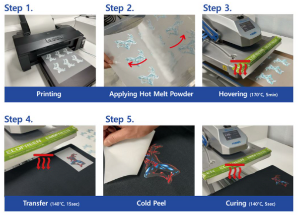 Ecofreen Direct to Film Process Step by Step