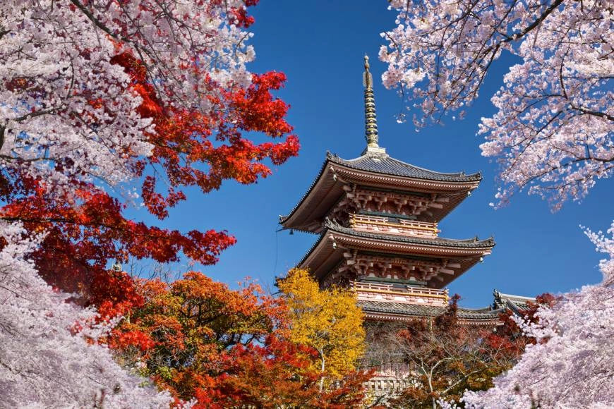 Momiji Gari And Embracing Autumn Leaves In Japan Kokoro Care Packages