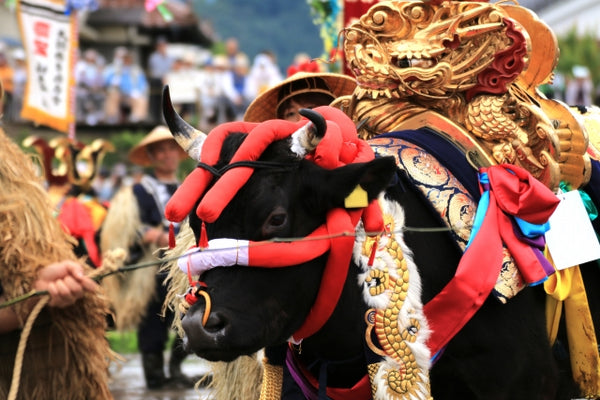 Mibu No Hana Taue – Hiroshima’s UNESCO-Recognized Rice Planting Ritual