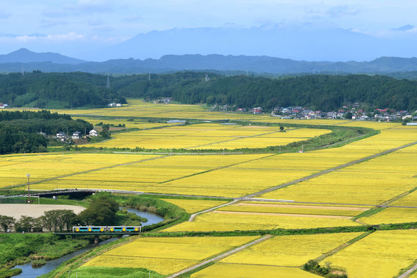 Satoyama