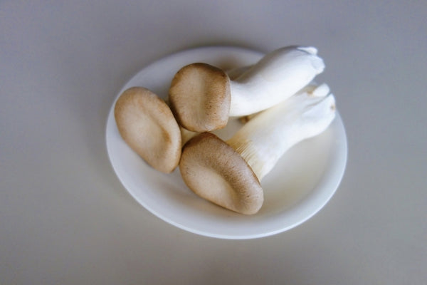 Guide to Japanese Mushrooms