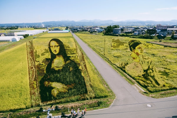 Tambo Art: Rice Paddy Murals Come to Life in Japan’s Countryside