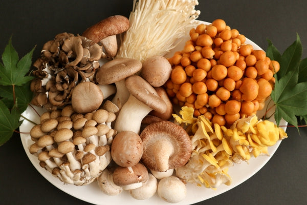 Varieties of Japanese Mushrooms