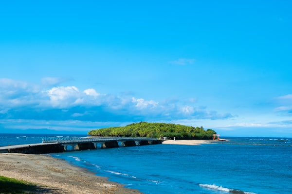 Aoshima island (Miyazaki Prefecture) - Let's travel around Japan!