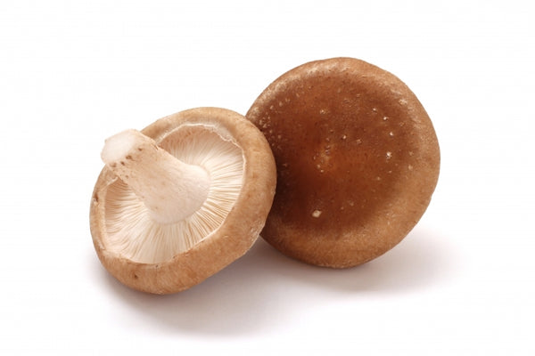 Shiitake