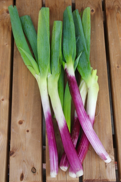 Negi: Is it a spring onion, green onion, scallion or leek?