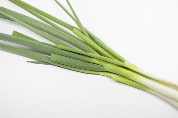 Negi: Is it a spring onion, green onion, scallion or leek?