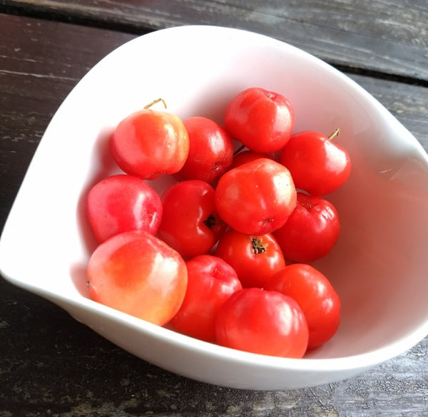 Acerola: A Little Fruit That Packs a Big Punch