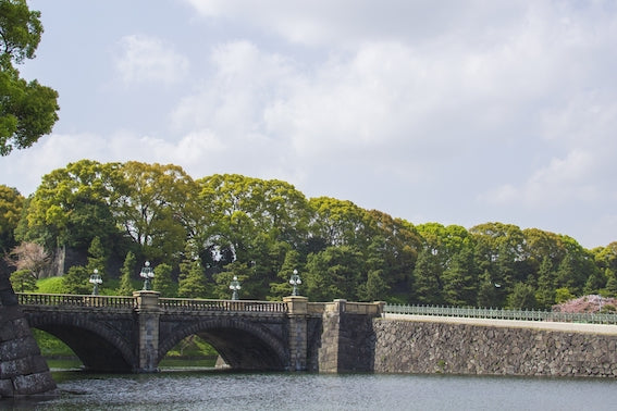 Japan's Emperor: His Majesty Akihito’s Diet