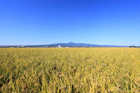 Doi Farm Nagasaki