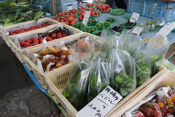 A Day of Eating and Bento Making in Kamakura