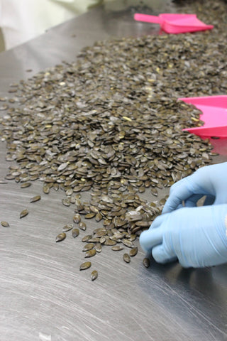 Wassamu Seeds Pumpkin Seed Sorting