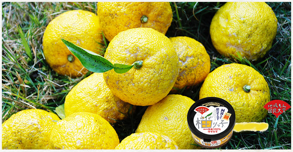 Yuzu Japanese citrus fruit