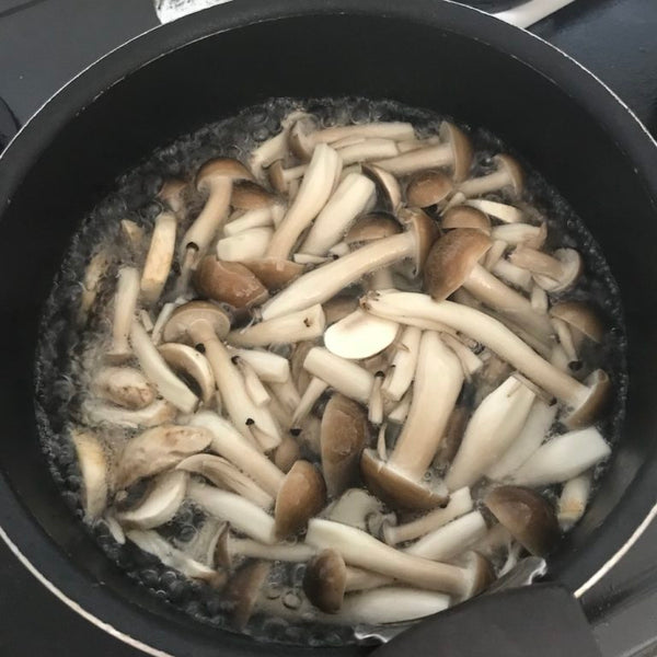 Salt Koji Marinated Mushrooms Japanese Food Recipe
