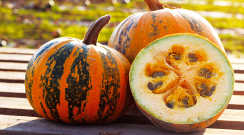 Hokkaido Striped Pepo Pumpkin