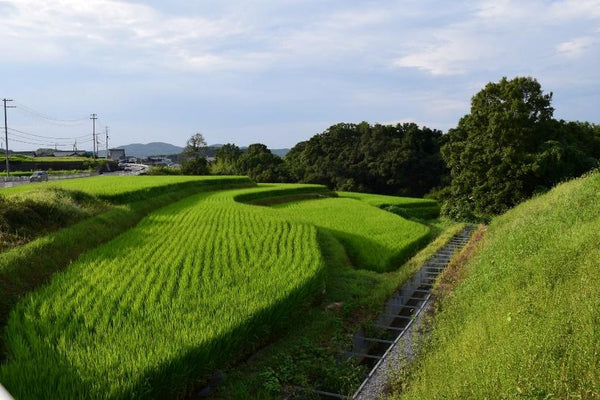 Inakunaru Inaka: Japan's Disappearing Countryside