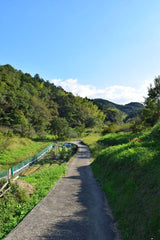 Inakunaru Inaka: Japan's Disappearing Countryside