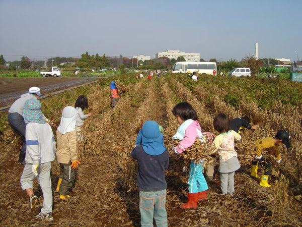 PRODUCER SPOTLIGHT: Toyokuniya - Phantom Soybeans