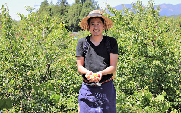 Yasashi Ume-yasan (“Kind Plum Shop”) organic umeboshi producer in Wakayama prefecture, Japan