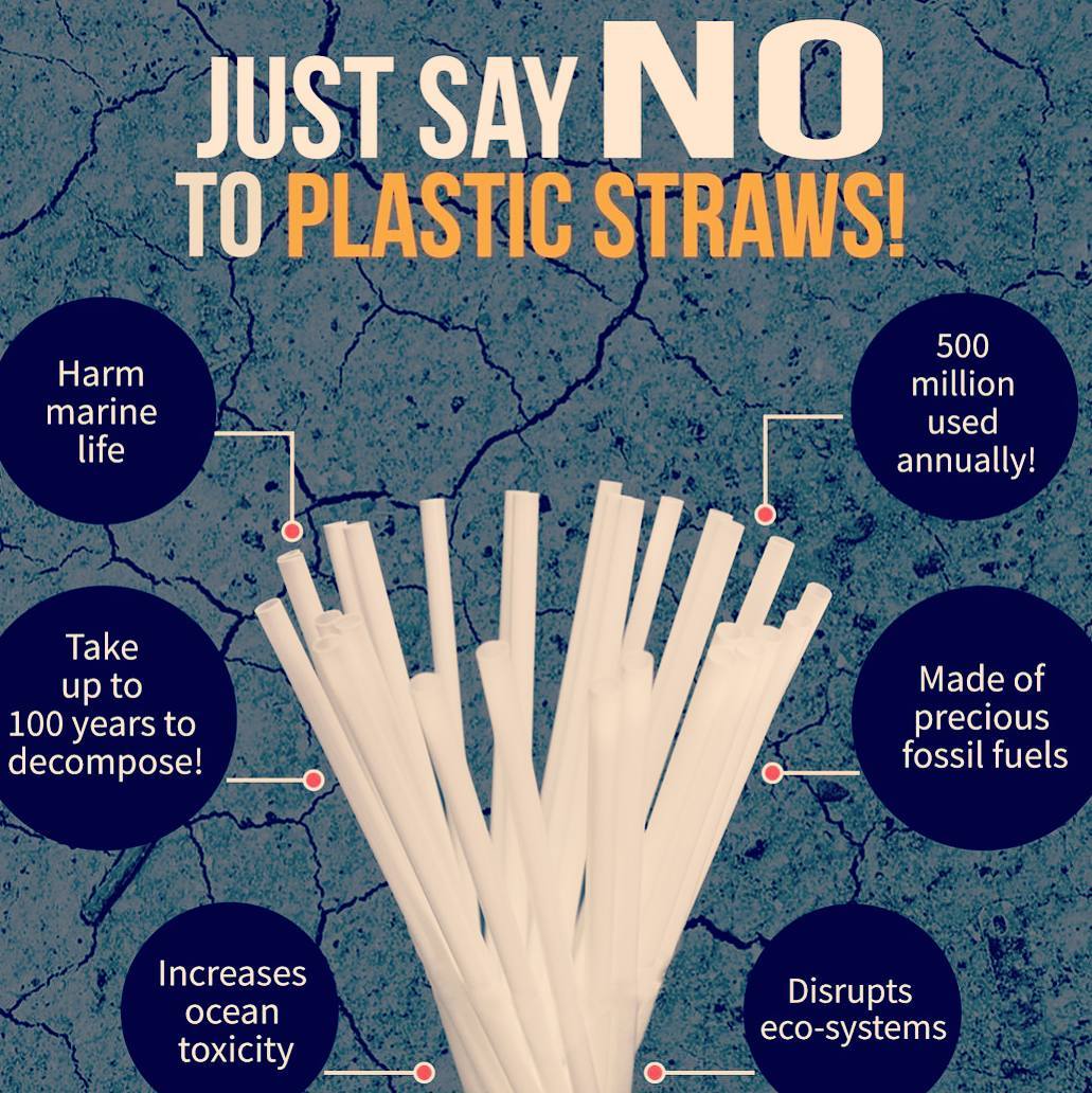 Why plastic straws are bad 