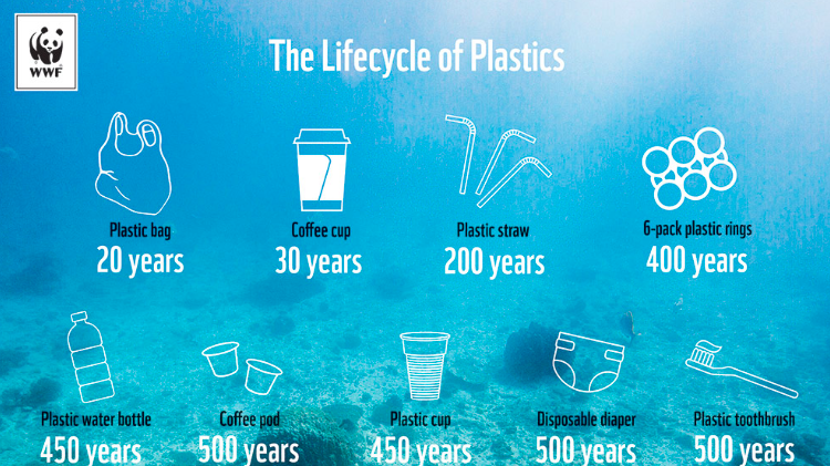 Image showing the life cycle of single use plastic items 