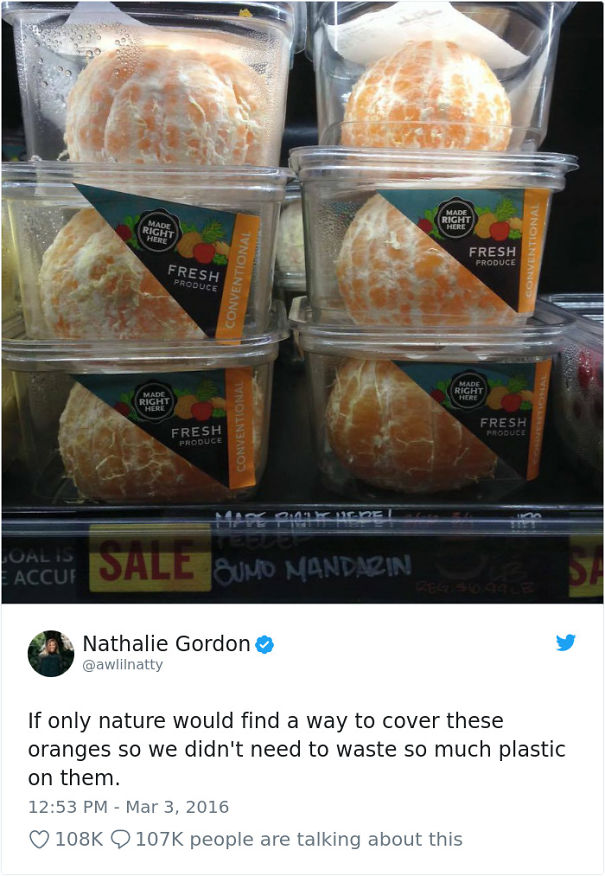 Oranges in plastic pots