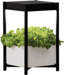 Miracle Gro Twelve Indoor Growing System Miracle Gro Twelve