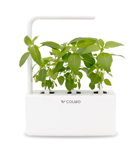 Indoor Herb Garden Kit With Spectrum Led Hydroponic Self Watering