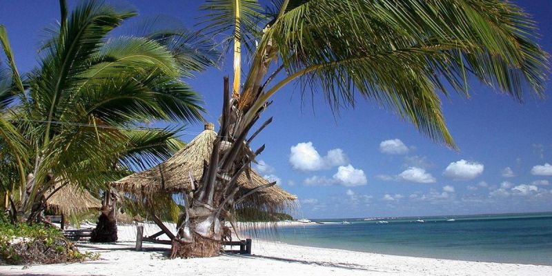 Bazaruto Archipelago - Mozambique - Sandy Beach and Palm Trees