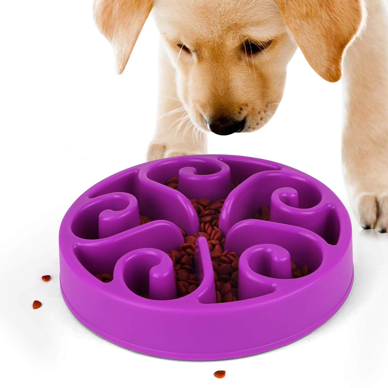 Download Pet Feeding Bowl Mockup