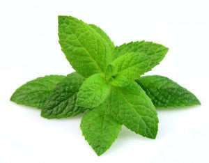 My Natural CBD Mint Leaf for Recipe