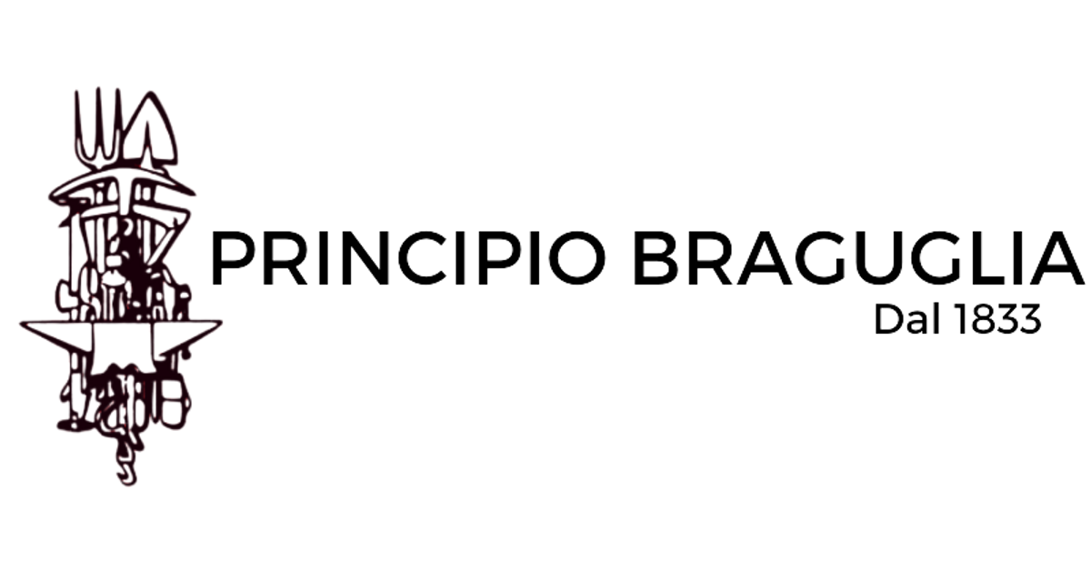 Smerigliatrice angolare Beta + 300 dischi abrasivi – Principio Braguglia