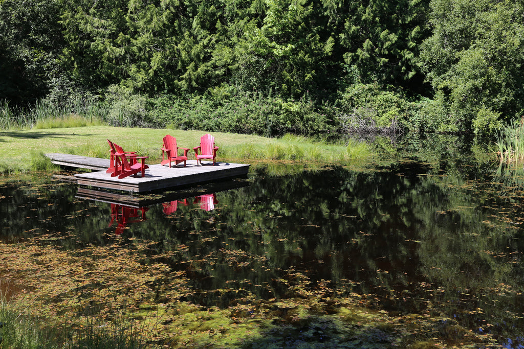 Red Adirondack chairs by the pond