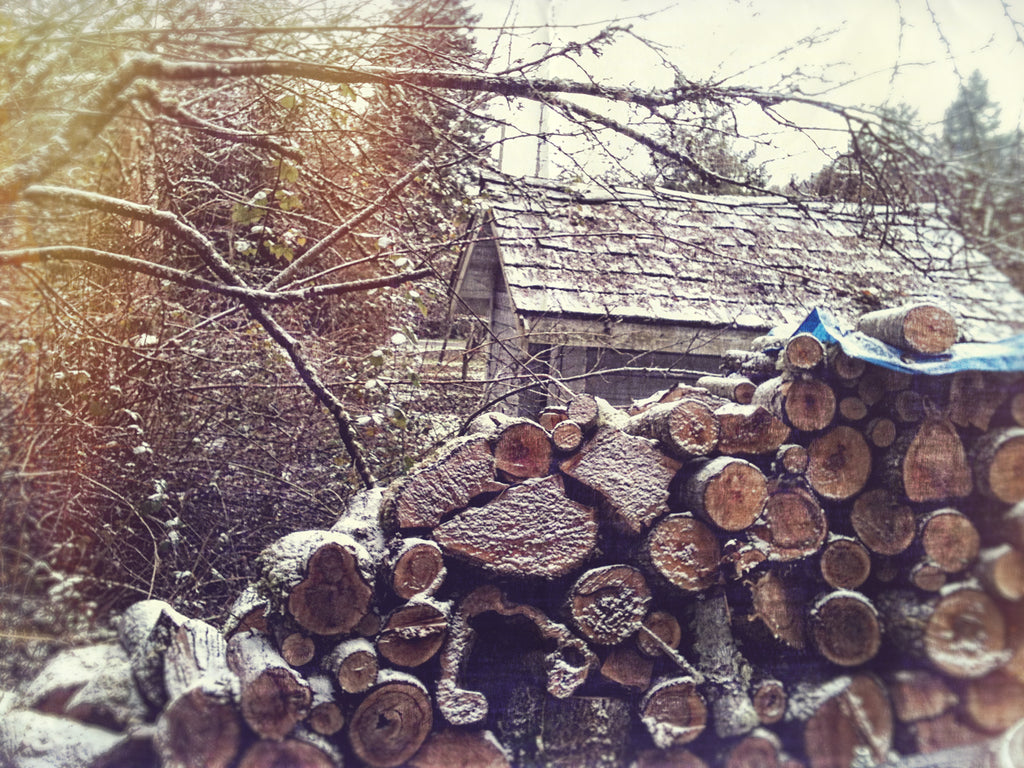 snowy stack of firewood