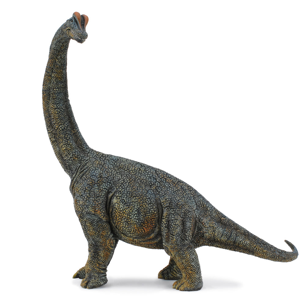 CollectA Brachiosaurus Dinosaur Toy