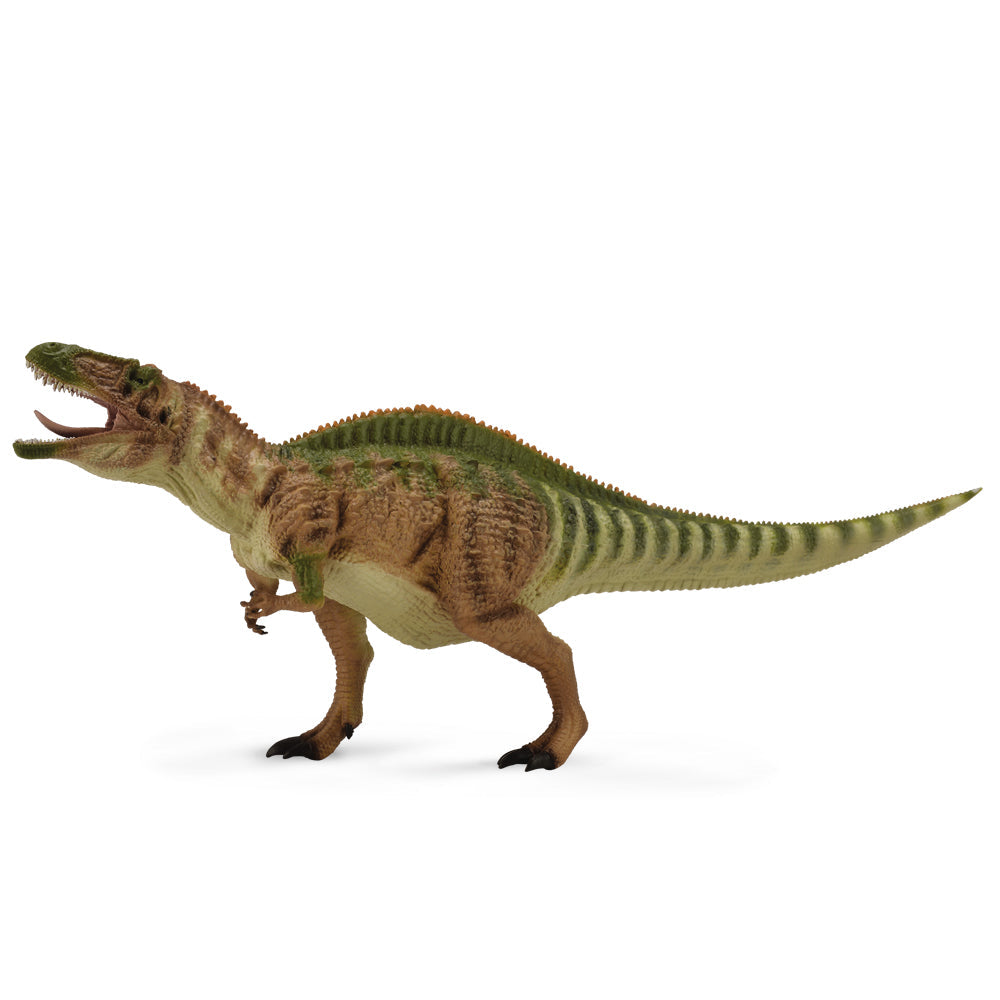 CollectA Acrocanthosaurus Dinosaur Toy With Movable Jaw