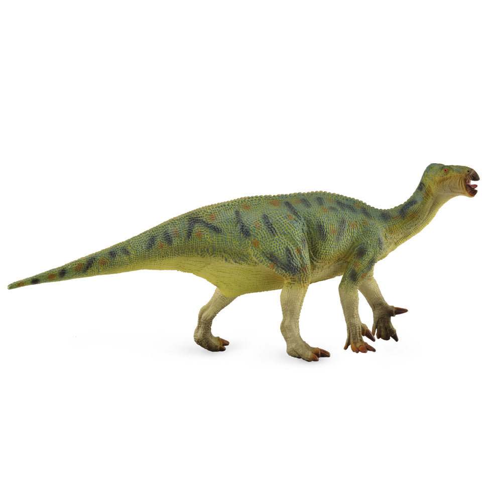 CollectA Iguanodon Dinosaur Toy