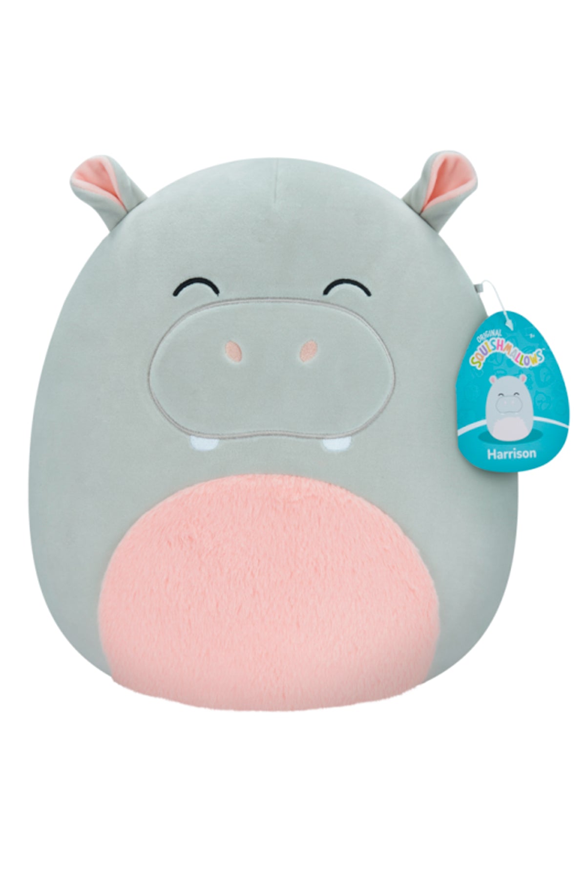 Squishmallows Harrison The Hippo 12