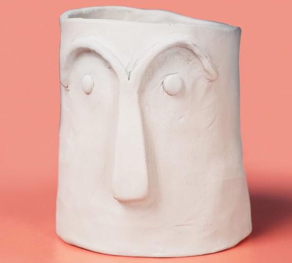 noah Kit de poterie adulte pour débutant – Inclut argile autodurcissante,  peintures acryliques et pinceaux (Argile Blanche/Peinture Blanche)