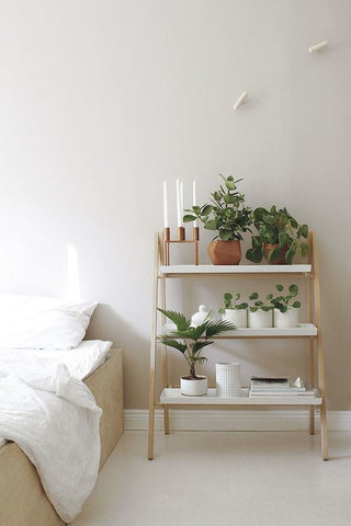 Bedroom with Plants