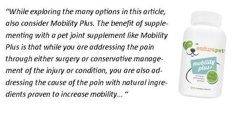 mobility pet supplement