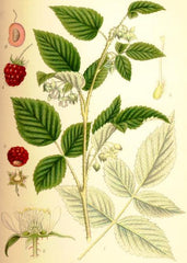 Raspberry image