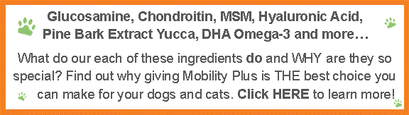 endurapet® Mobility Plus Pet Supplements for Cats & Dogs endurapet.myshopify.com Supplement